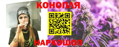 индика Нальчик